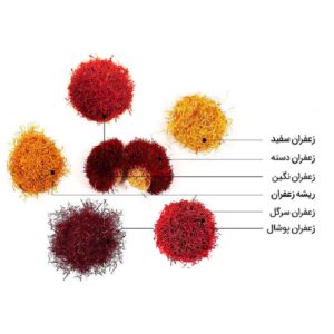 همه چیز درباره زعفران